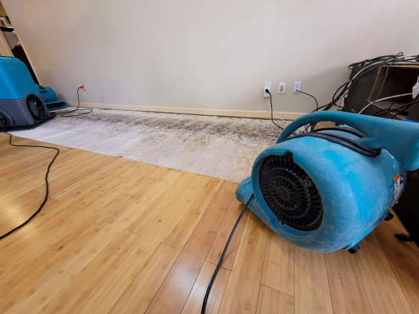 Professional Basement Flood Cleanup technician working in Garrett, TX